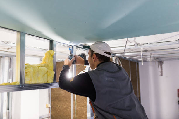Best Insulation for New Construction  in St Charles, IL