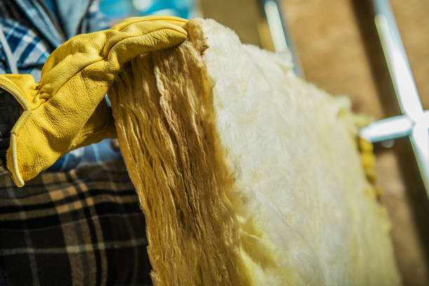 Insulation Replacement Services in St Charles, IL