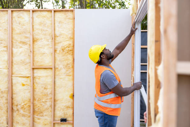 Best Local Insulation Services  in St Charles, IL