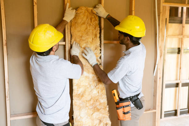 Best Crawl Space Insulation  in St Charles, IL