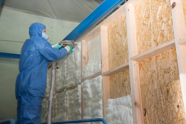 Insulation Inspection Services in St Charles, IL