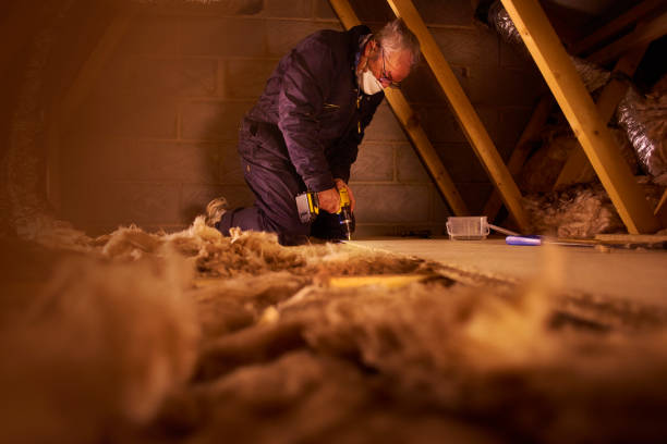 Best Attic Insulation Installation  in St Charles, IL