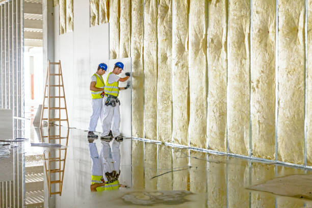 Best Professional Insulation Contractor  in St Charles, IL